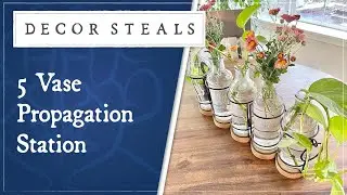 Decor Steals' 5 Vase Propagation Station
