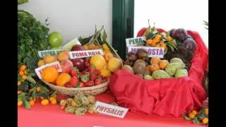 PRIMAVERA EDUCATIVA.CEIP EL BRACAL.2016.MURO
