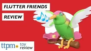 Flutter Friends from Just Play