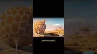 If all animal became fat | funny video | comedy movie scenes| #shorts #movietime