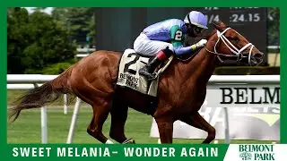 Sweet Melania - 2020 - The Wonder Again