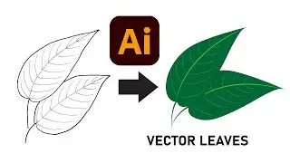 Creating vector leaves | Adobe Illustrator