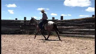 Herd Quitter® Minute - Getting Started in Ag