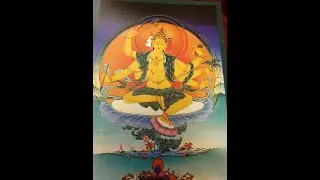 1 la pratica del Dharma  PILLOLE DI SAGGEZZA DAL BUDDHA belvederelanghebuddhameditationcener