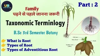 Taxonomic Terminology Types of Root Part 2 B.Sc 3rd Semester Botany By Umesh Biology @UmeshBiology 