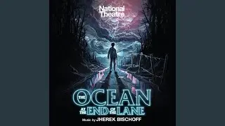 The Ocean