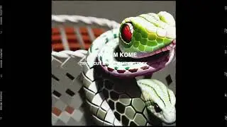 Kingdom Kome X Dawit Justice - Snake Charmers (feat. Timbo King, Ras Ceylon & Tragedy Khadafi)