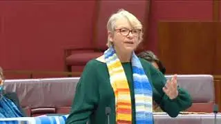Greens Senator Janet Rice on the Regional Comprehensive Economic Partnership (RCEP)