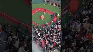 San Francisco Giants - Lou Seal - Mascot Hall of Fame 2025 - San Jose&rsquo;s Sharky Shark hits a homerun