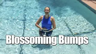 Blossoming Bumps Aquanatal Class
