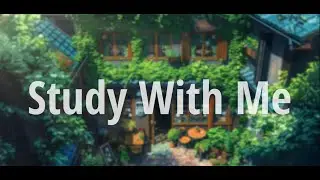 Study With Me 1 Hours