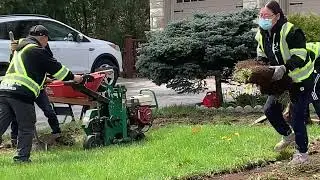 Remove Old Grass Using Sod Cutter