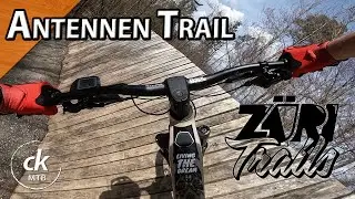 Antennen Trail - Uetliberg | A fantastic MTB trail in spring | Focus Sam 6.8 | ck MTB