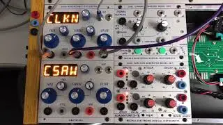 Dual Algorithmic Oscillator - 2 Buchla Format Braids