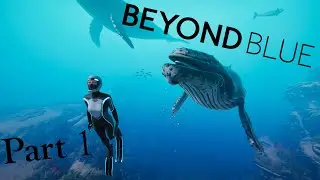 Beyond Blue: Part 1-  Whale Whale Whale