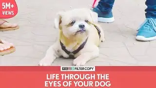 FilterCopy | Life Through The Eyes Of Your Dog | Ft. Rohan Khurana