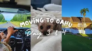 Moving to Oahu Day 3 and 4
