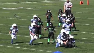 Harlem Harris Tiny Mite Highlights 2013