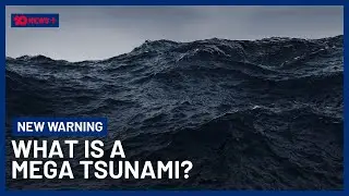Warnings Issued: &ldquo;Mega Tsunami&rdquo; Could Strike US Pacific Coast | 10 News+