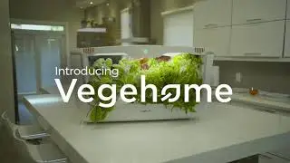 Grow Vegetables And Herbs At Home With Vegehome Indoor Gardens