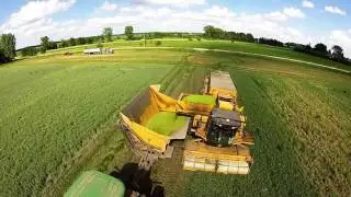 2016 Pea Harvest Minnesota