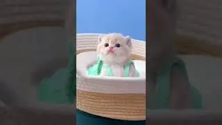 bwaaa🥰🥰