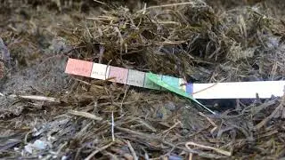 Cut to Clamp Silage Lessons: Fermentation