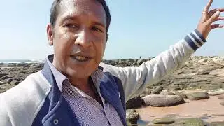 Finding EXOTIC Sea Animals in Tide Pools in South Africa