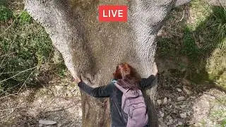 Difendiamo gli ALBERI. Con LINDA MAGGIORI 🔴