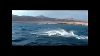 Windsurfing Slalom in Dahab, El Tur, Alacati with SLO-911, Highligts of 2007