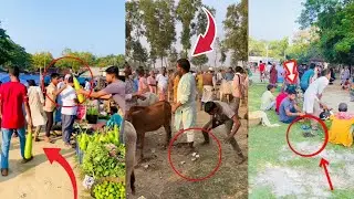 New funny comedy Entartenment prank fun trending funny video 😂😂#funny #comedy #entertament 