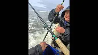 Catching Big Surfperch Along the Waves &ndash; Power in the Breakers