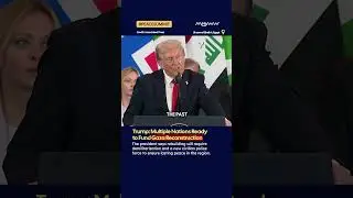 Трамп: несколько стран готовы финансировать восстановление Газы