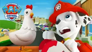 Hledání Chickaletty! 🐔- Tlapková Patrola PAW Patrol - pohádky pro děti