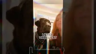 #spr&uuml;cheseite