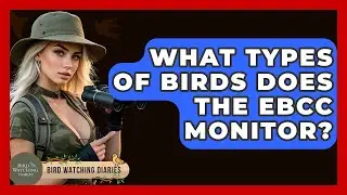 What Types Of Birds Does The EBCC Monitor? - Bird Watching Diaries
