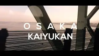Osaka Aquarium Kaiyukan Cinematic 4K Japan