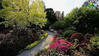 Arboretum Wojsławice z drona FPV       [ 4k ]