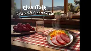 Anti-Spam Plugin by CleanTalk. Installation in WordPress