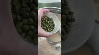 Labastard 2.0 birrificio del doganiere allgrain