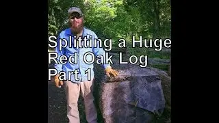 SPLITTING A HUGE RED OAK LOG