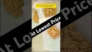 High Protein🤯| Black Soldier Fly Farming in Telugu #bsf #shorts #shortsfeed #ytshortsindia