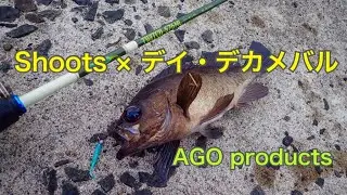 デイでのデカメバルゲーム。AGO products/アゴプロダクツのロッドやジグヘッドを使用してのルアーゲーム