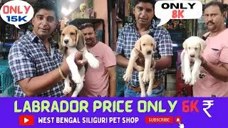A pet shop in West Bengal Siliguri price for different types of dogs | Dog price in India |Dog video