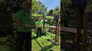 Hier zeige ich euch meine selbstgebaute Weinwand mit einigen Pflanzen.#garten #info #gardening