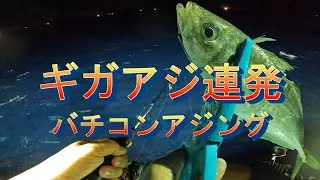 ギガアジ大爆釣のバチコンアジング！効率的なアクション（誘い）の方法　イカメタルの時は必ず仕掛けを準備