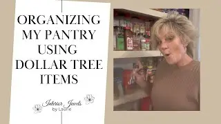 Organizing my pantry using dollar tree items. 