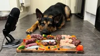 19 Month Old German Shepherd Eating His Biologically Appropriate Feast.🥩🐓🐄🦃🦆🐑🍓🥕🥦#asmr