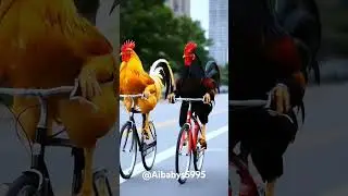 What is going on 🤯 Chicken riding cycle 🤯Ai art || Ai video #ai #cute #runwayai #cuteanimals #viral