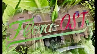 Flora-OST Spezial: Kräuterwanderung im Villa Berg Park